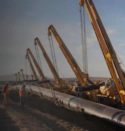 New Project (7) New Project (7)