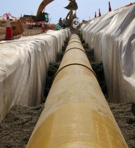 WhatsApp Image 2025-11-19 at 9.37.16 AM (4)