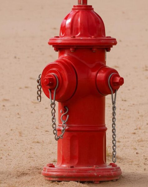 WhatsApp Image 2025-11-19 at 9.37.17 AM (1)