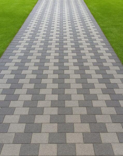 WhatsApp Image 2025-11-19 at 9.37.17 AM (2)