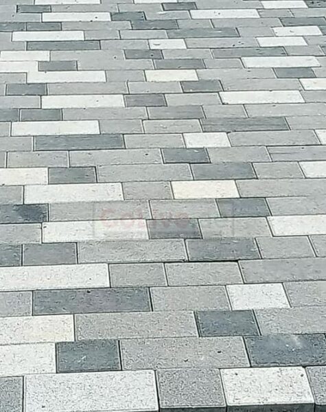 WhatsApp Image 2025-11-19 at 9.37.17 AM (3)