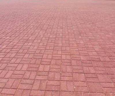 WhatsApp Image 2025-11-19 at 9.37.17 AM (5)